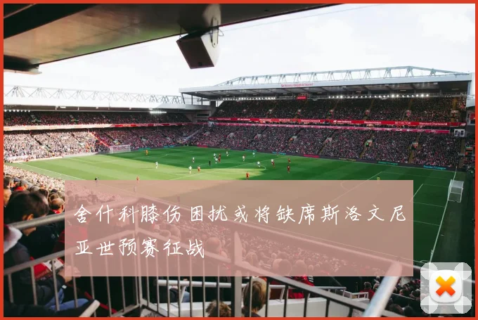 舍什科膝伤困扰或将缺席斯洛文尼亚世预赛征战