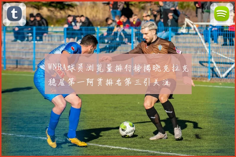 WNBA球员浏览量排行榜揭晓克拉克稳居第一阿贾排名第三引关注